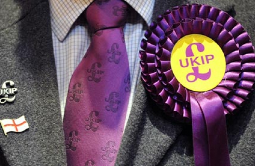 UKIP Candidate generic